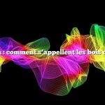 Question : comment s’appellent les bois d’orignal